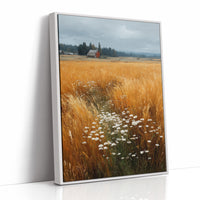 Daisies Break the Wheat