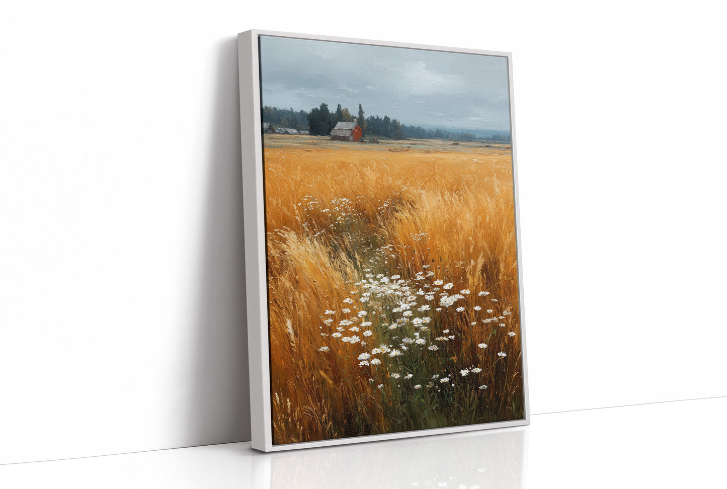 Daisies Break the Wheat
