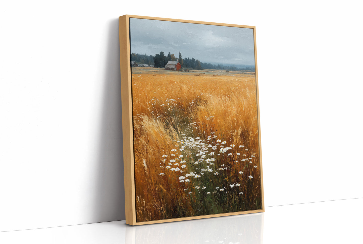 Daisies Break the Wheat