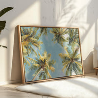 Summer Breeze Lifts Palm Stories