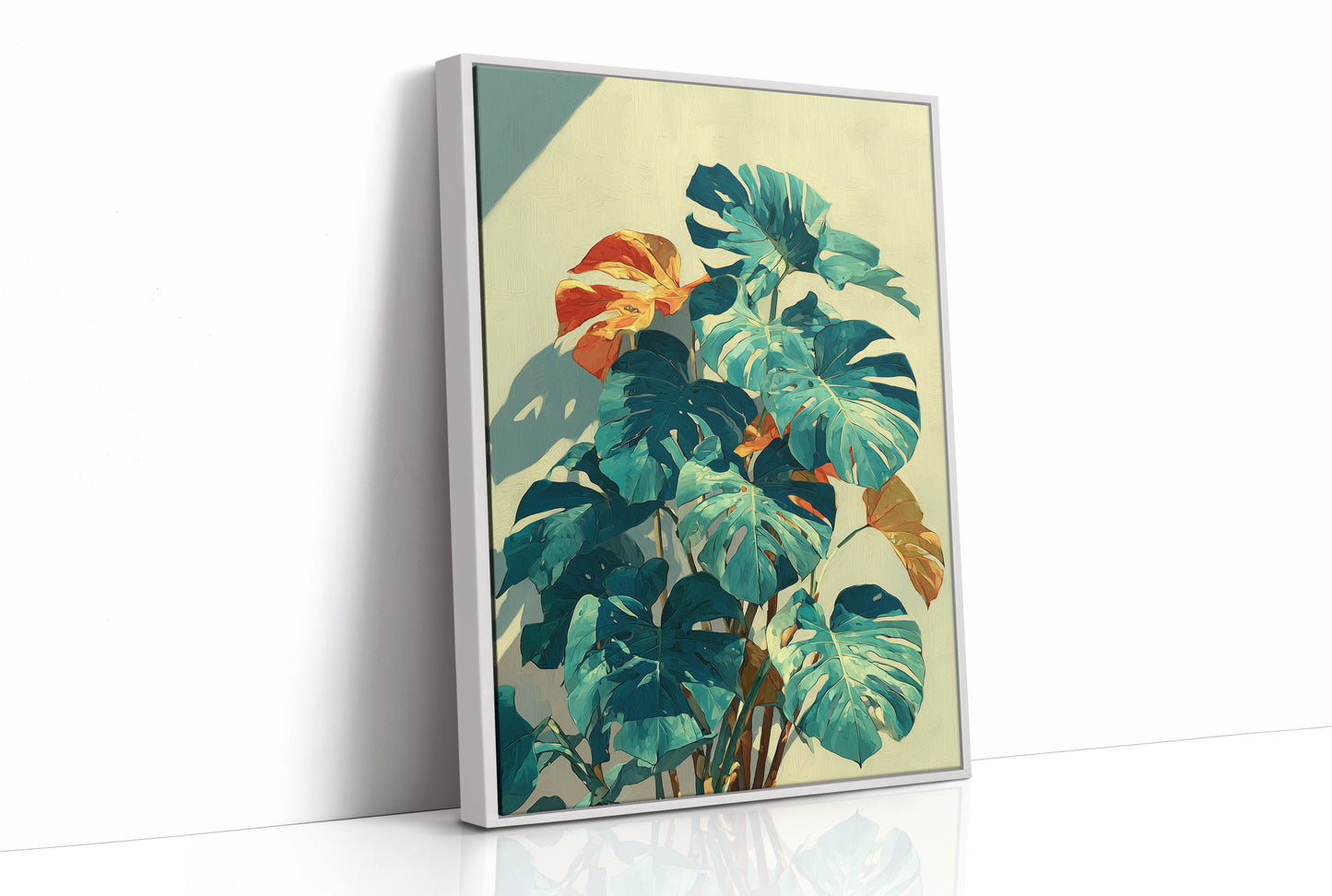 Monstera in Afternoon Light