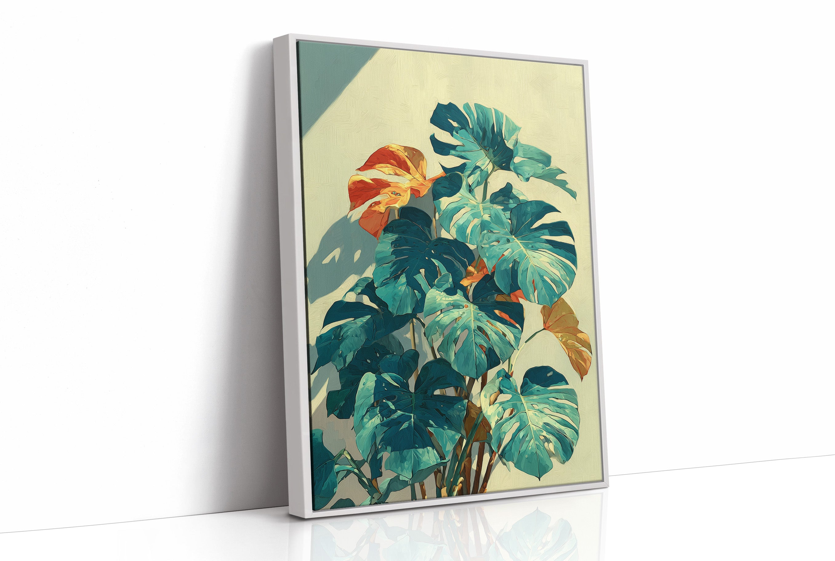 Monstera in Afternoon Light