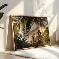 Golden Shutters Behind Palm Veils