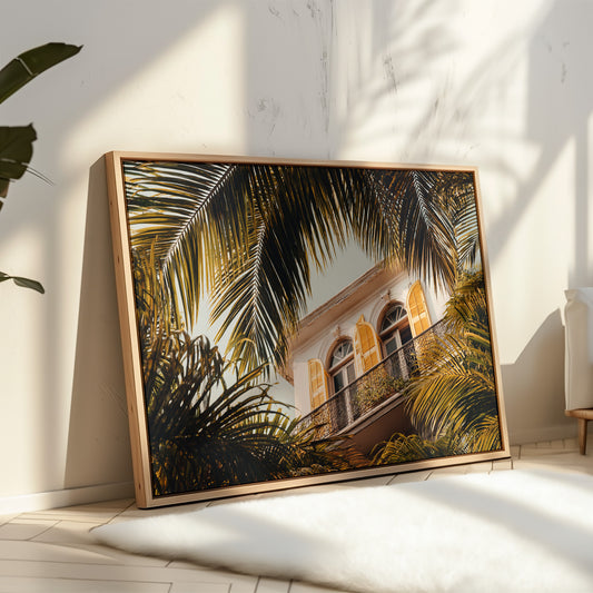 Golden Shutters Behind Palm Veils