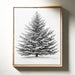 Snow-Covered Pine Tree Drawing - Winter Botanical Art - Gallery Canvas image 1