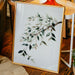 Olive Branches Bend With Grace
