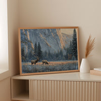 Morning Frost Greets Valley Elk