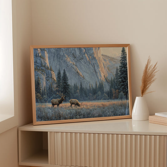 Morning Frost Greets Valley Elk