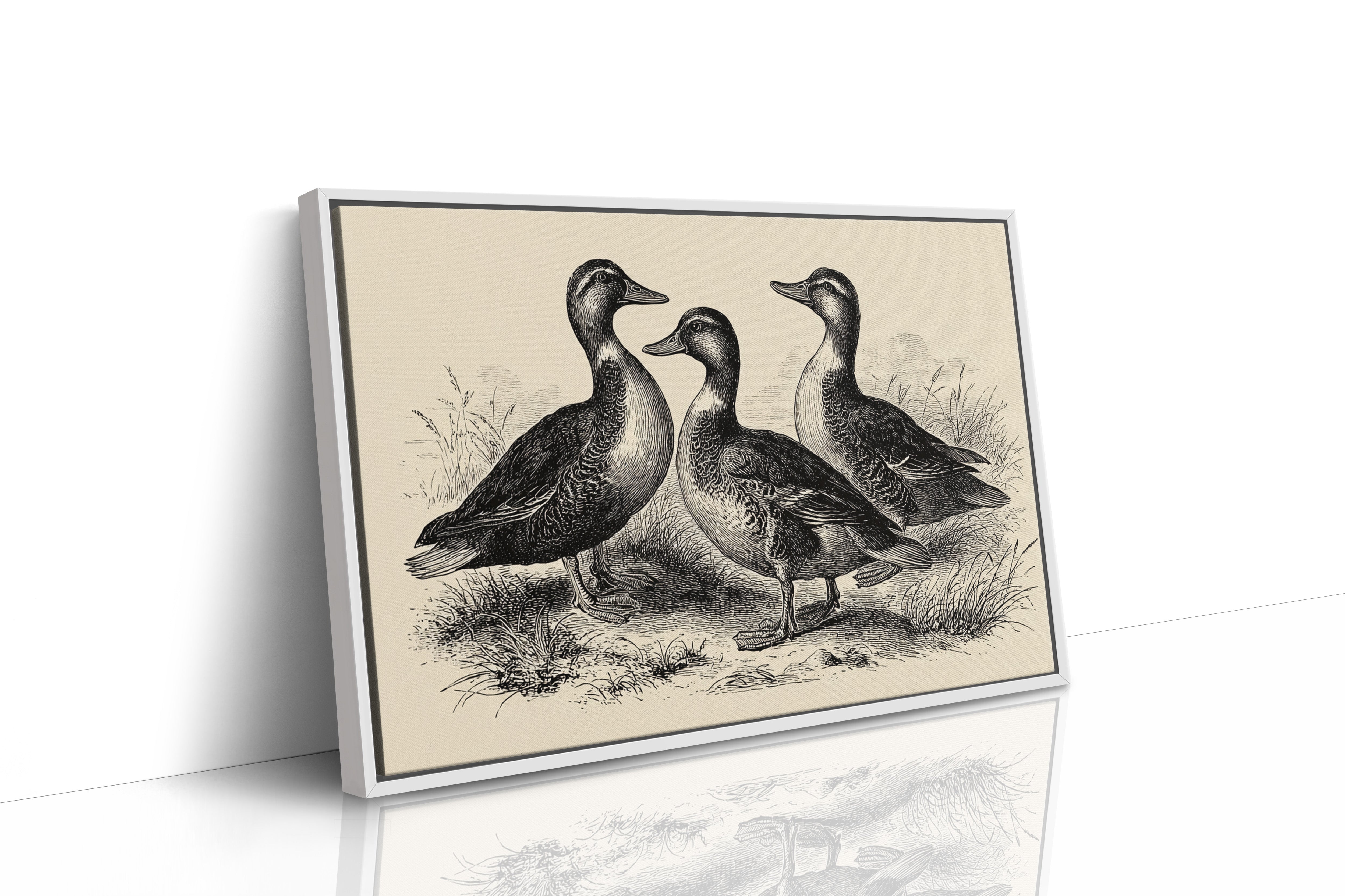 Gathering of Gentle Companions