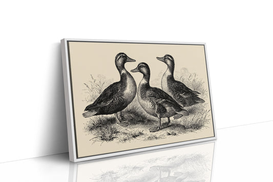 Gathering of Gentle Companions