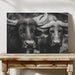 Black and white photo of two bulls on a wooden table