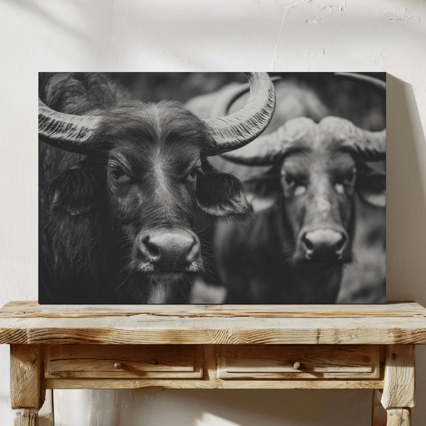 Black and white photo of two bulls on a wooden table