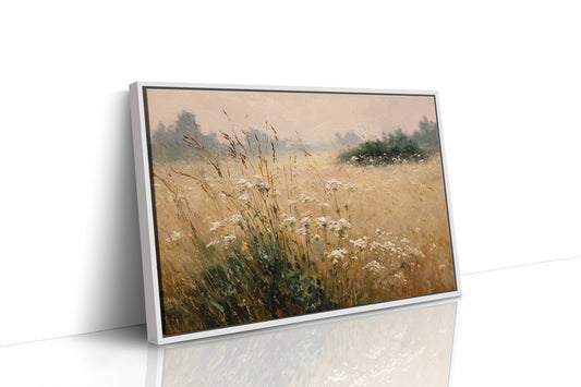 A Field Awash in Light