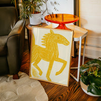 Wild Mustang In Golden Light