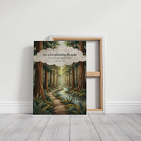 Like a Tree Planted by the Water: Redwood Forest Stream