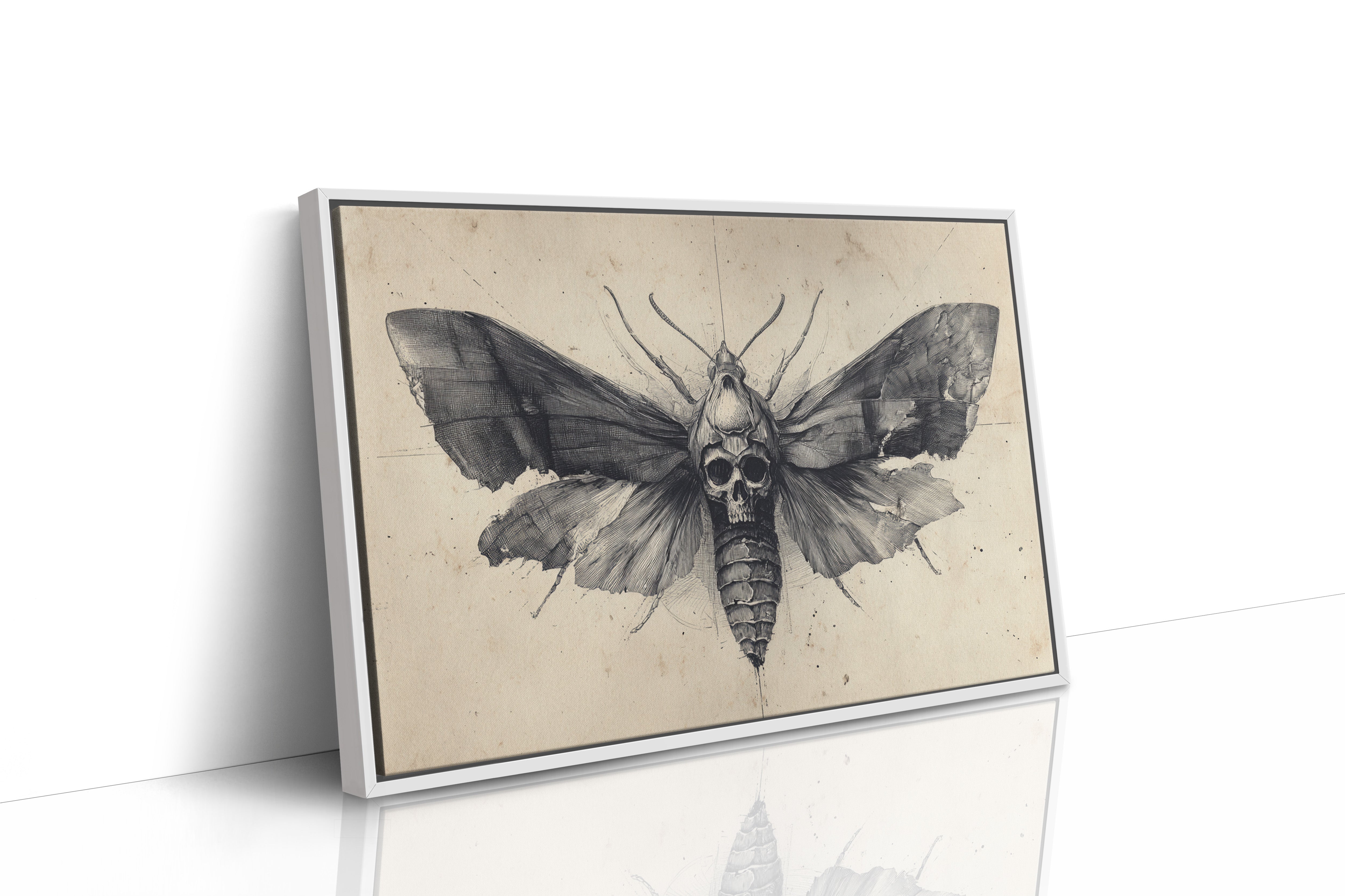 Moth's Lament Over Forgotten Tales