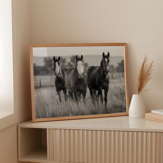 Three Mares Stand Among Prairie Grass