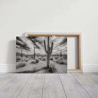 Saguaro Silence in Black and White