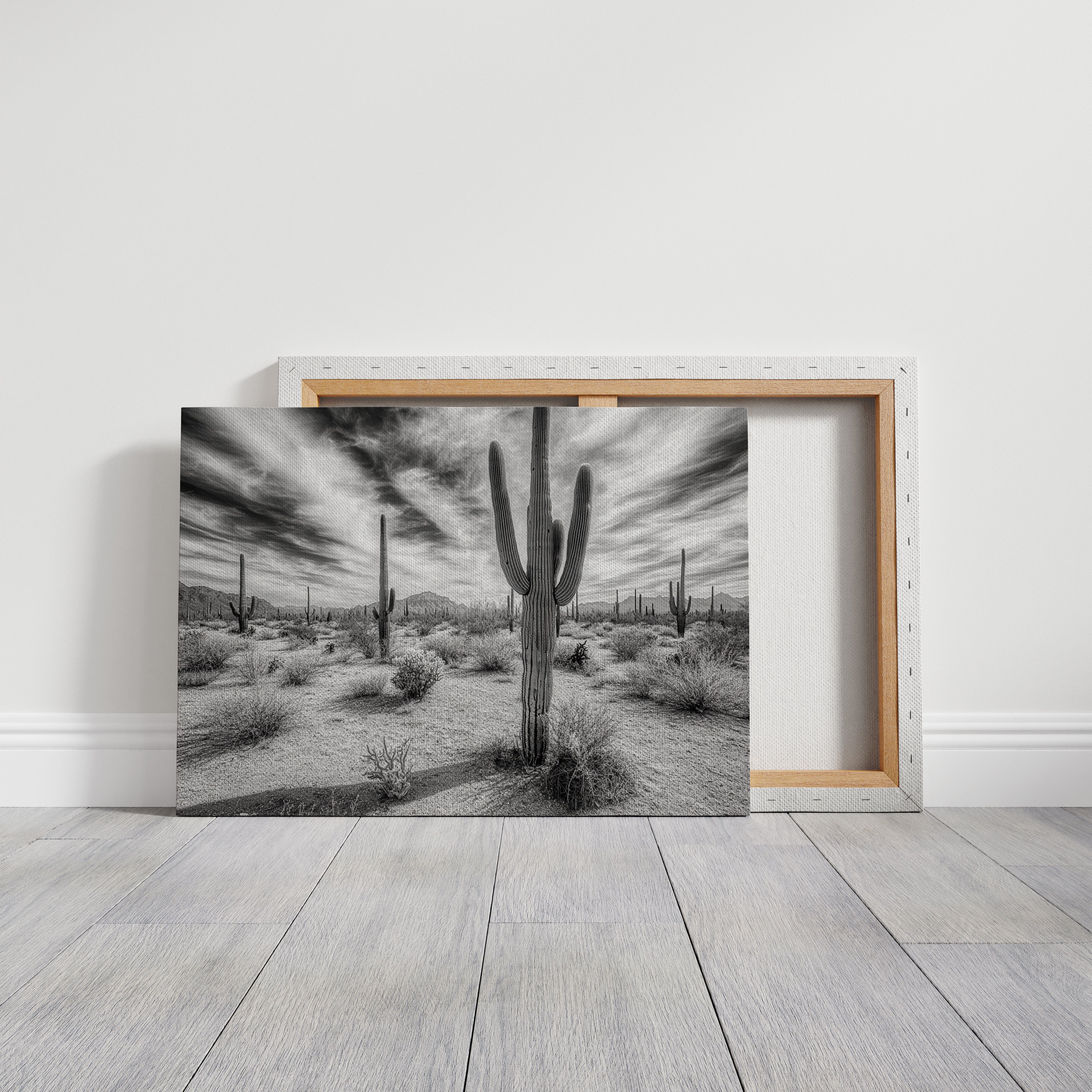Saguaro Silence in Black and White
