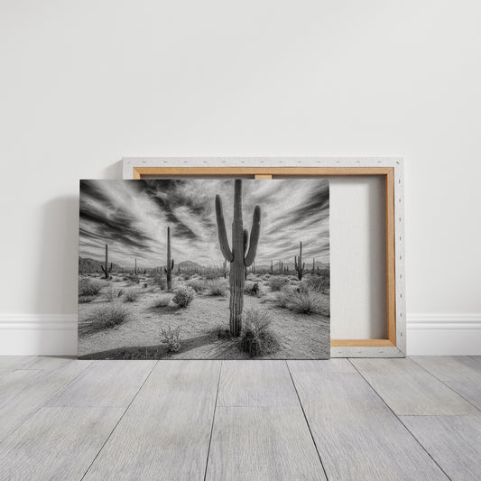 Saguaro Silence in Black and White