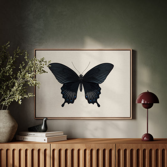 Midnight Sails On Velvet Wings