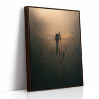 Dragonfly Pauses In Amber Light