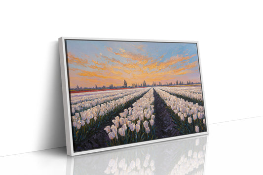 Fields of Light and Bloom