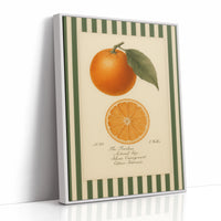 Vintage Orange Slice Botanical Study
