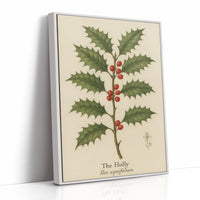 The Holly Botanical Art Print