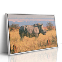 Rhino, Golden Grassland