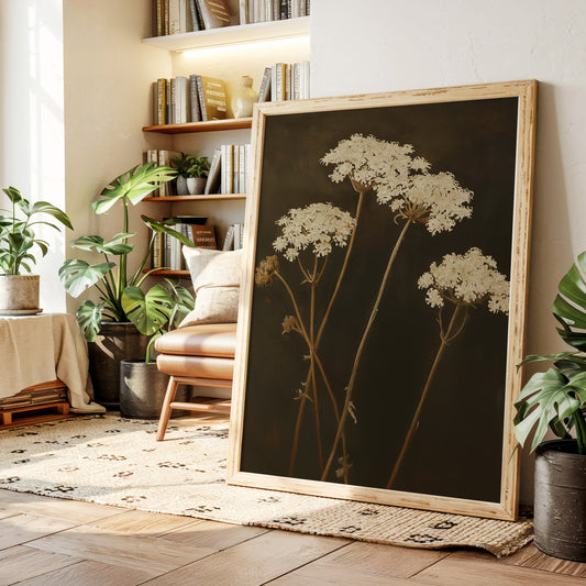 Queen Annes Lace in Late Autumn Light