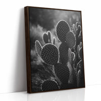 Moonlit Thorns Tell Desert Tales