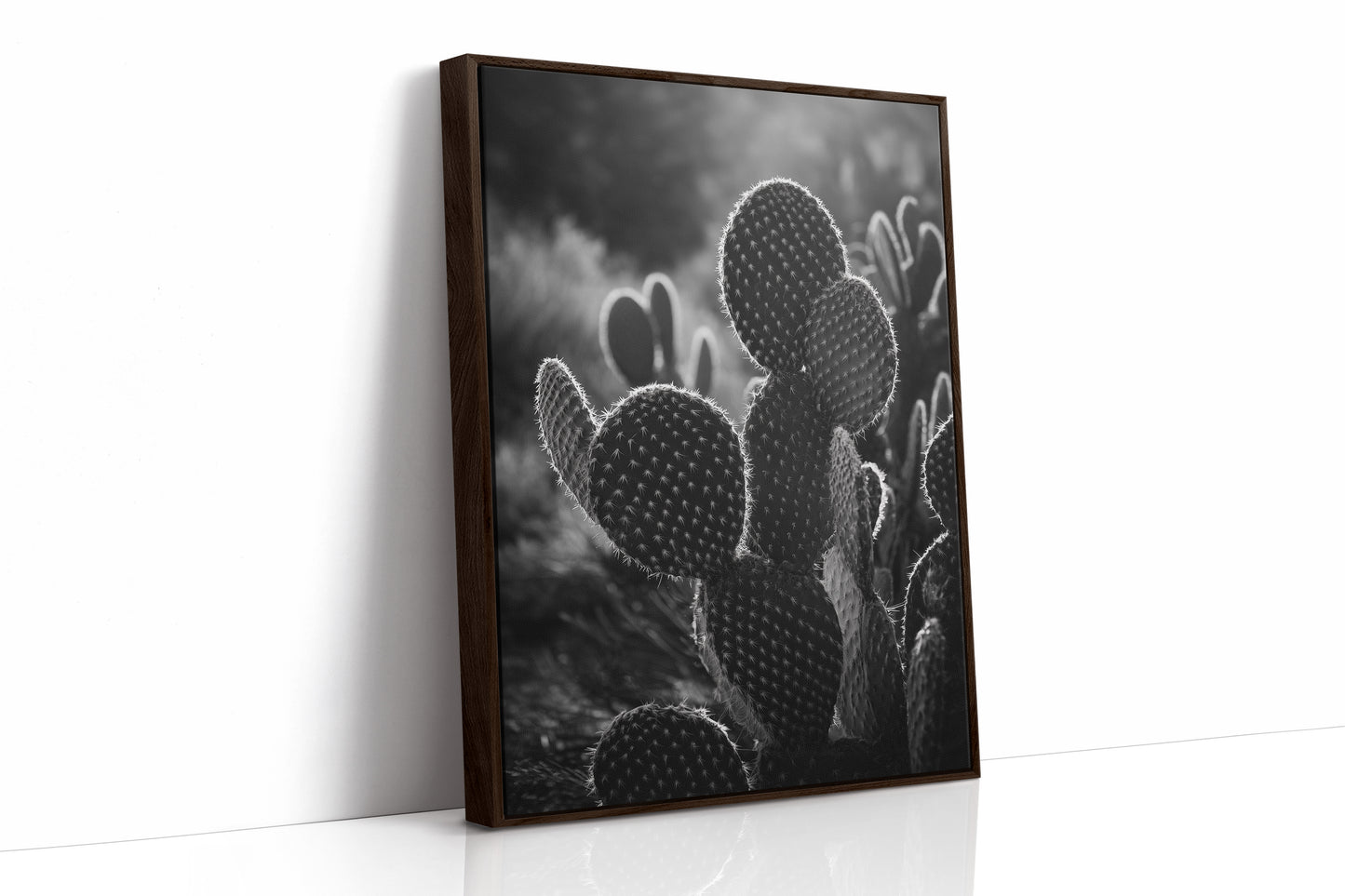 Moonlit Thorns Tell Desert Tales