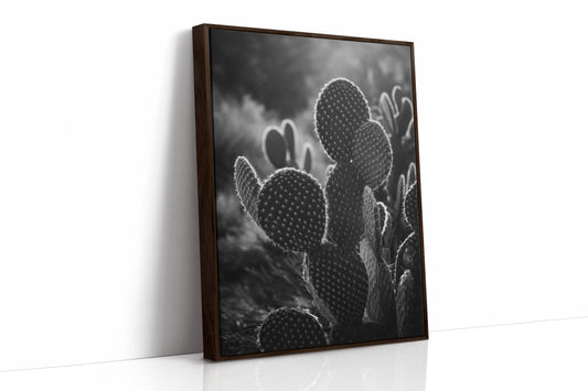 Moonlit Thorns Tell Desert Tales