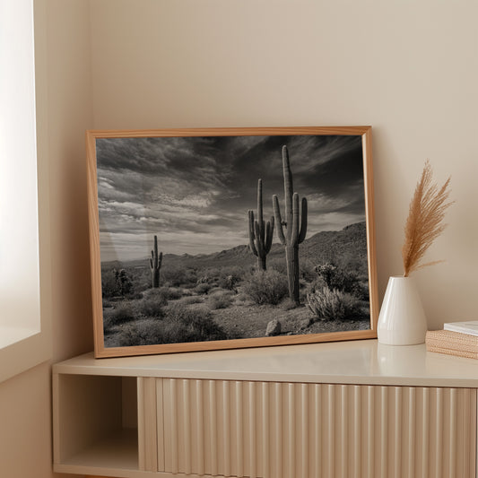 Tall Tales From Sonoran Skies