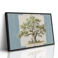 Weathered Olive Tree Study