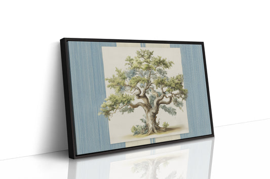 Weathered Olive Tree Study