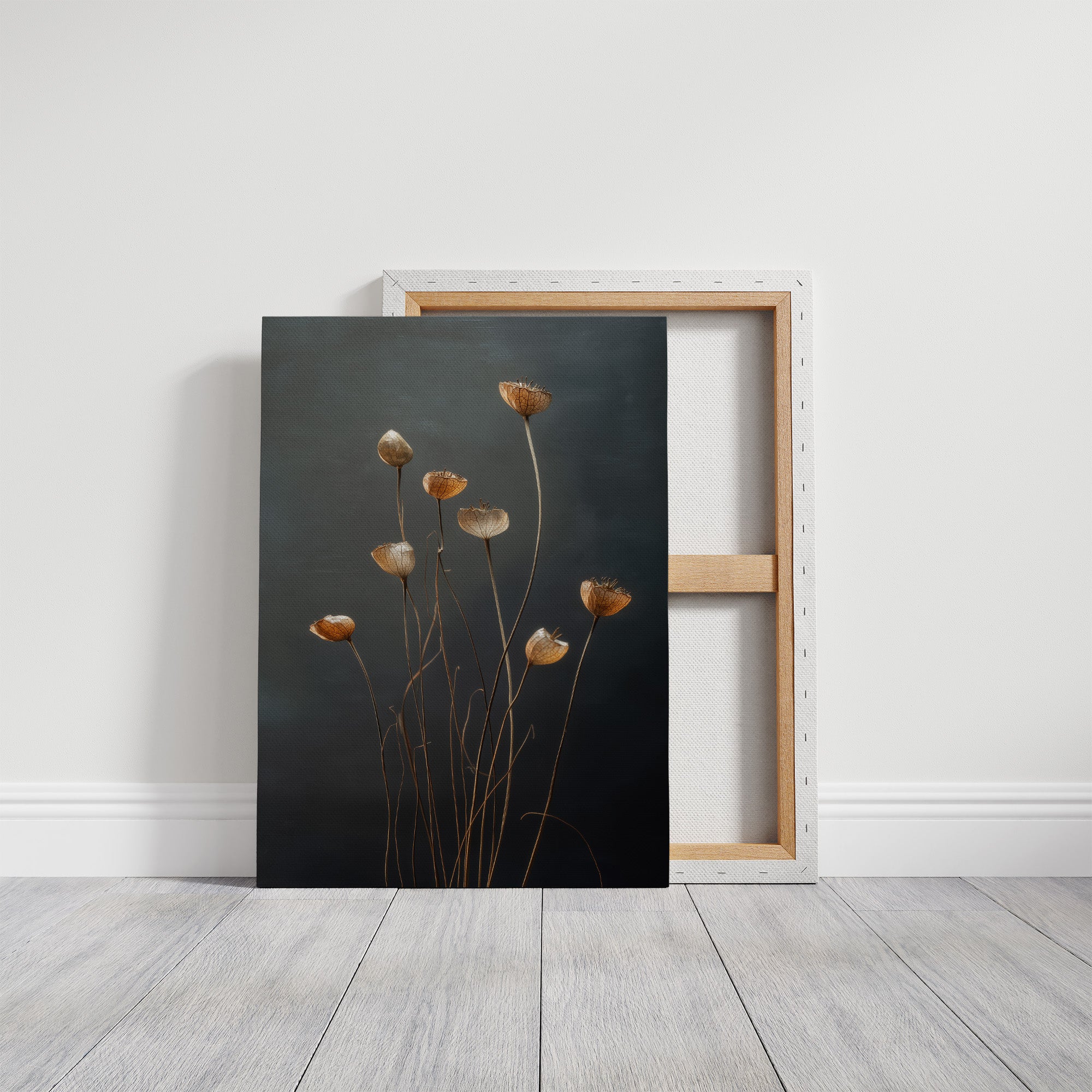 Dried Poppies Above Evening Spirits