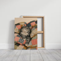 Please Do Not Fold the Cat