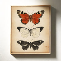 Flight Through Timeless Patterns