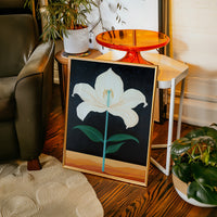 Midnight Lily Reaches For Stars