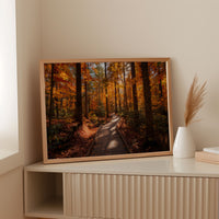 Autumn Path Weaves Golden Stories