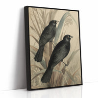 Midnight Perch Among Reeds