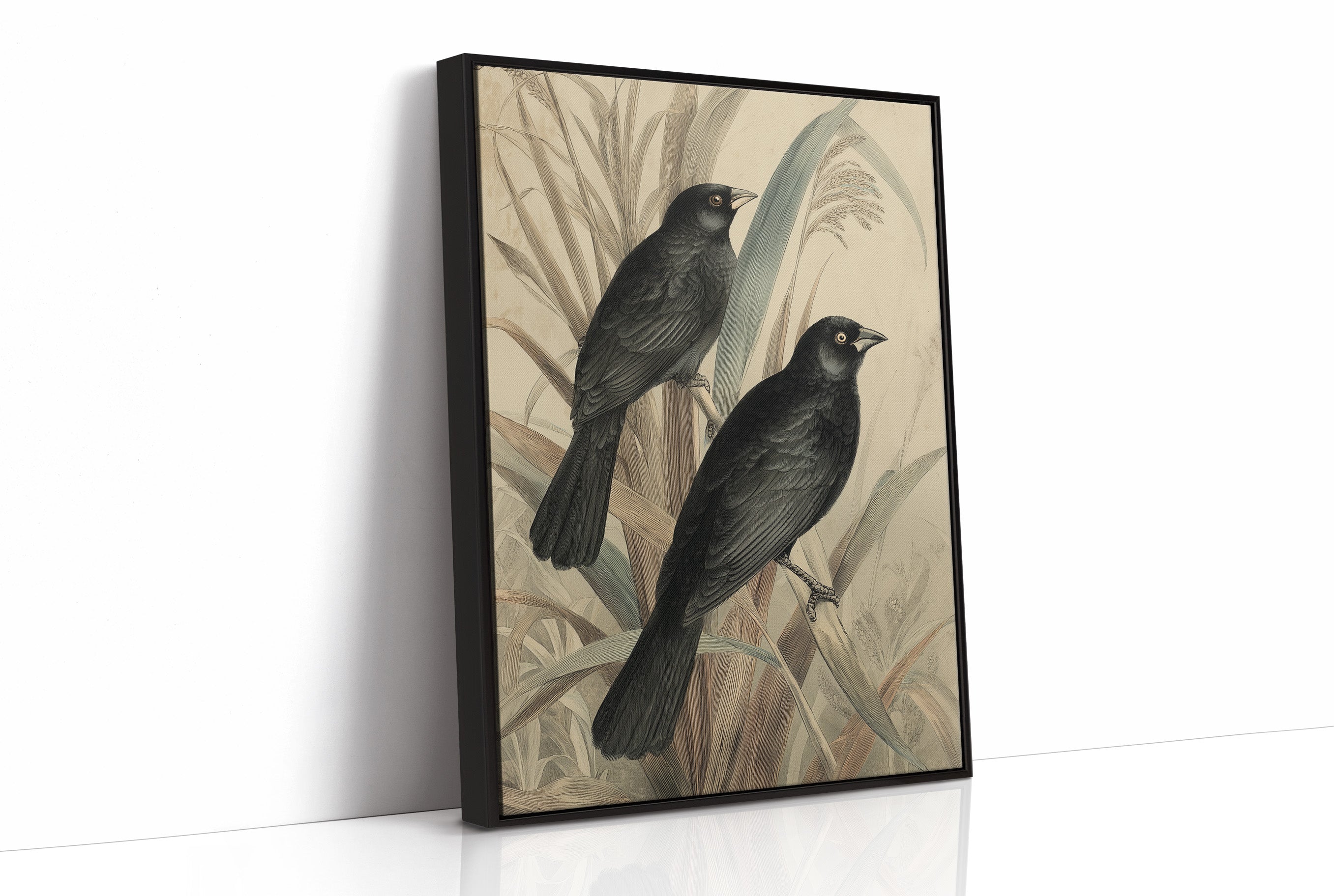Midnight Perch Among Reeds