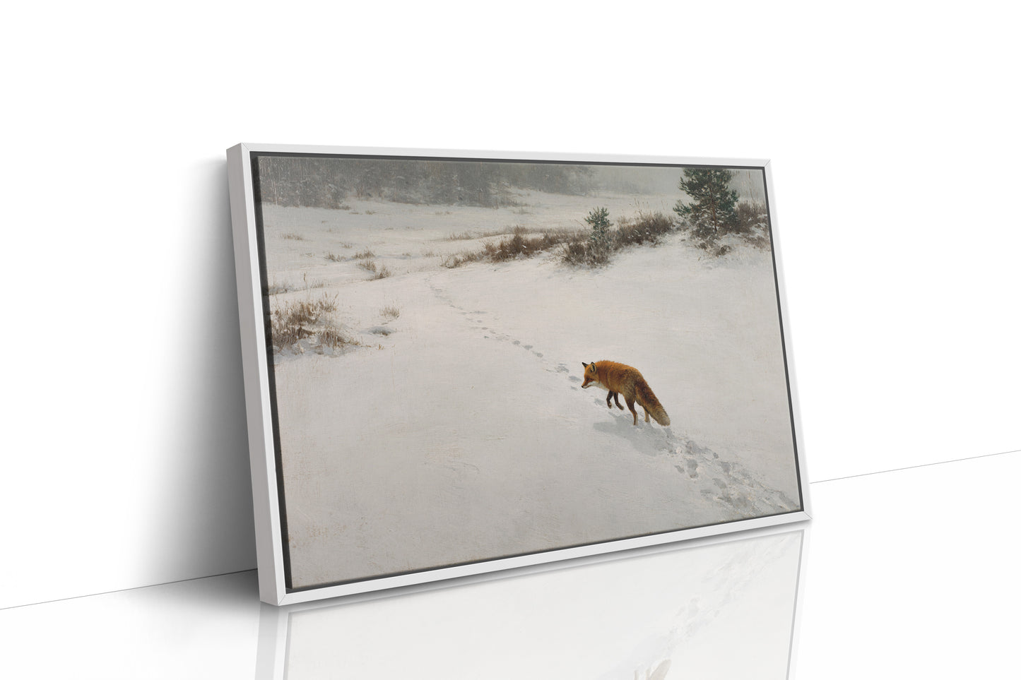 Fox Tracks Through Winter's Canvas