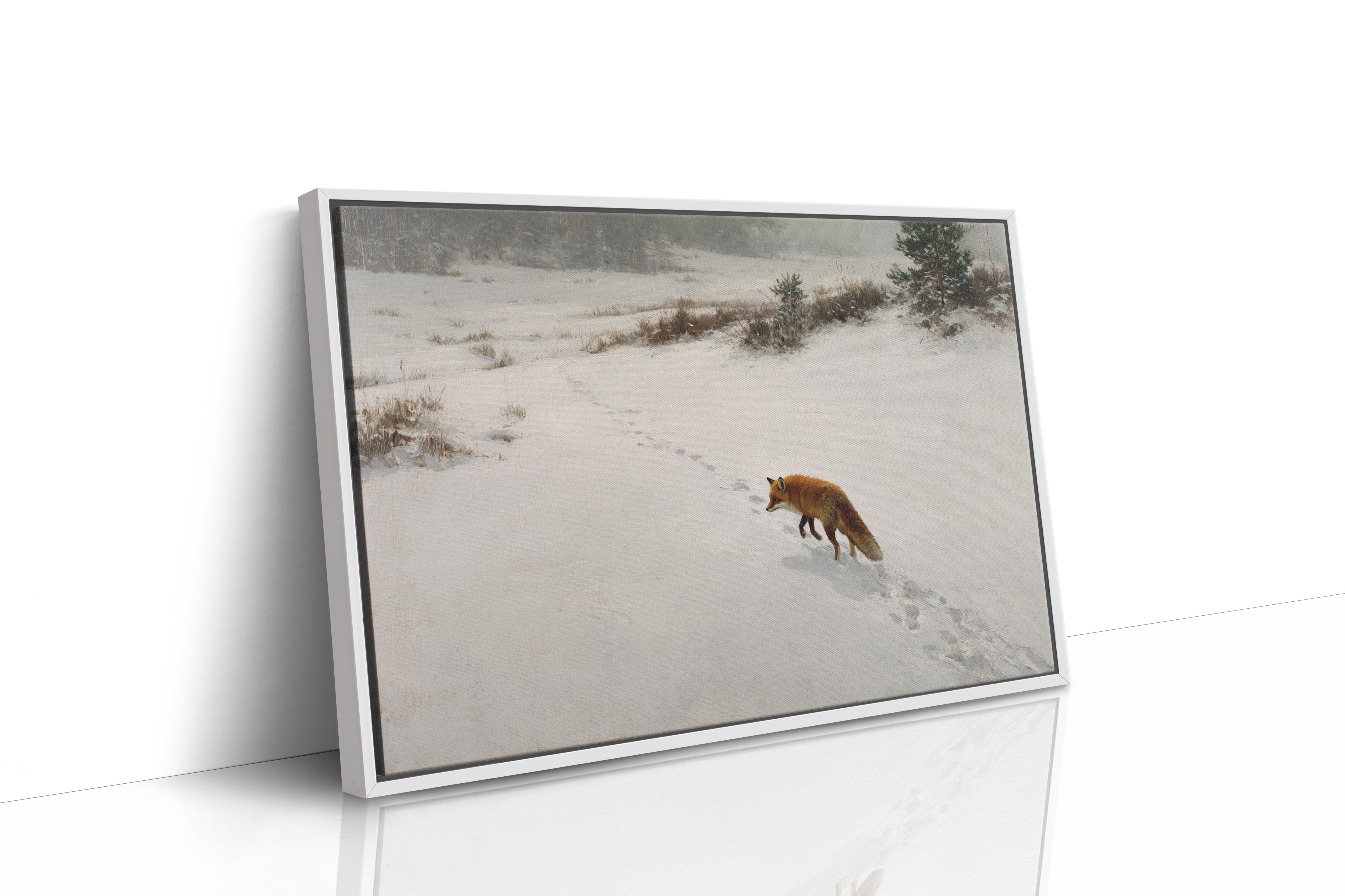 Fox Tracks Through Winter's Canvas