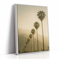 Desert Palms at Dusk