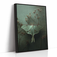 Lunar Moth Among Faded Stems