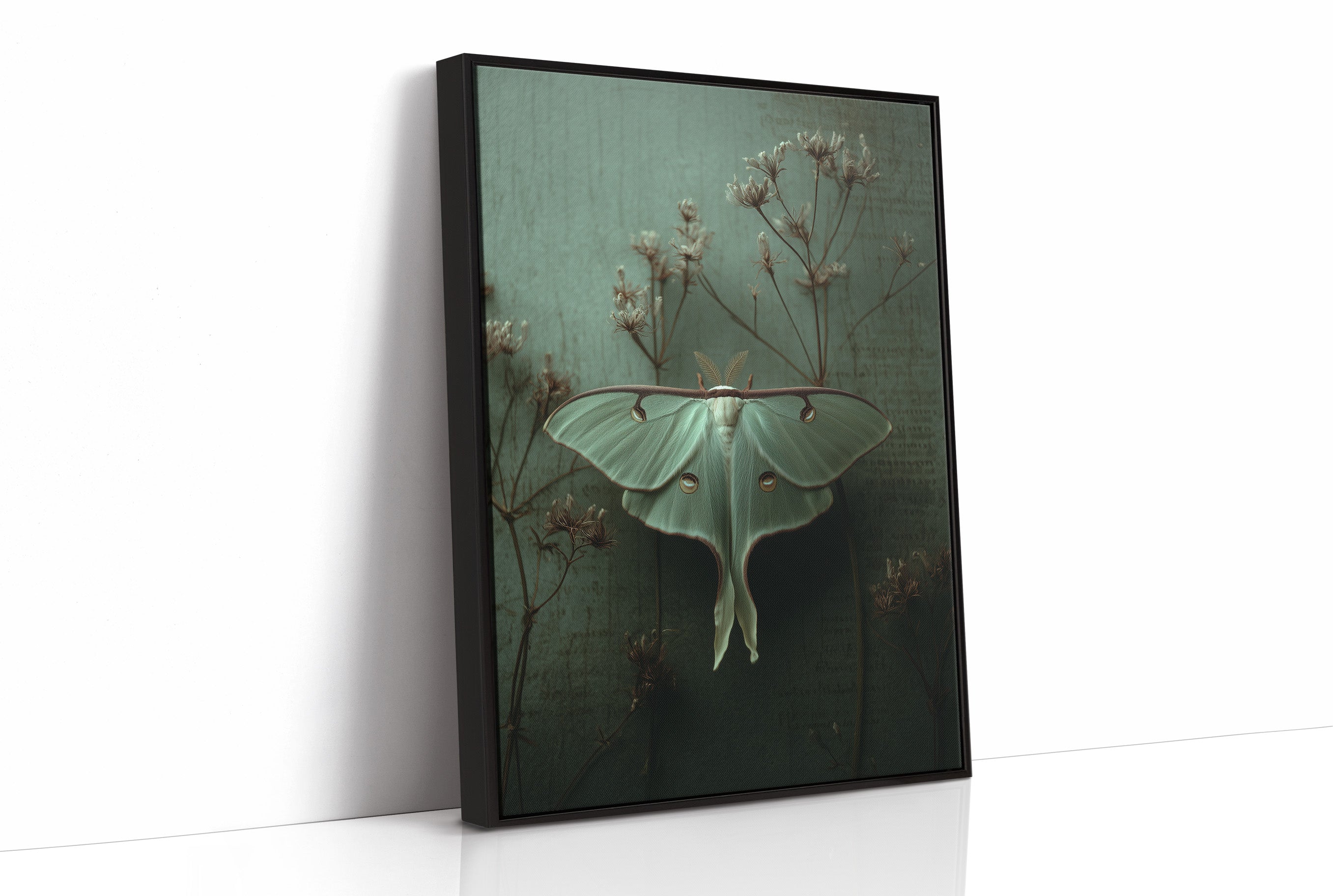 Lunar Moth Among Faded Stems