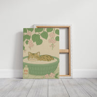 Soak & Purr – Cat Spa Dreams